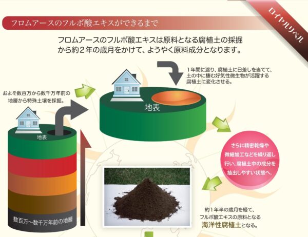 フルボ酸ができるまで